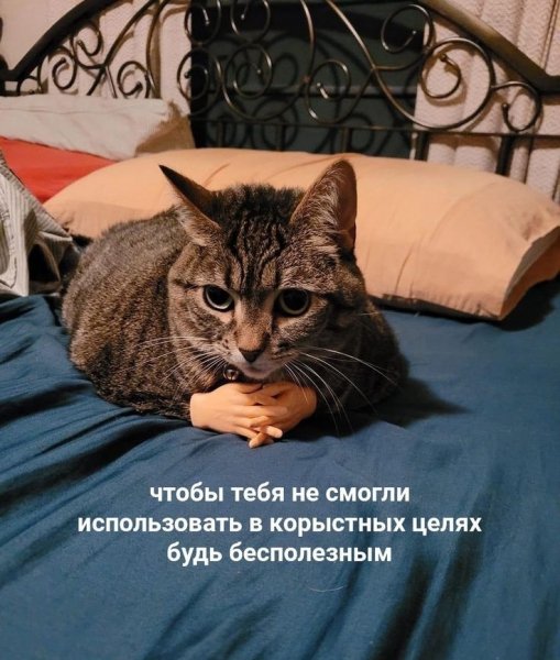 file_103305174