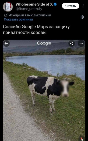 IMG 20260902 200056 799