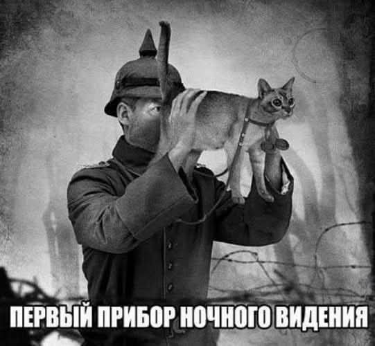 FB IMG 1779731946578