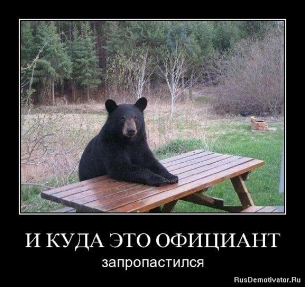 Куда офииант запропастился?
