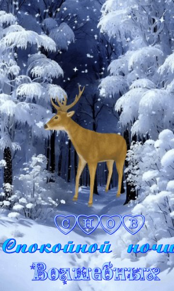 file_98633608