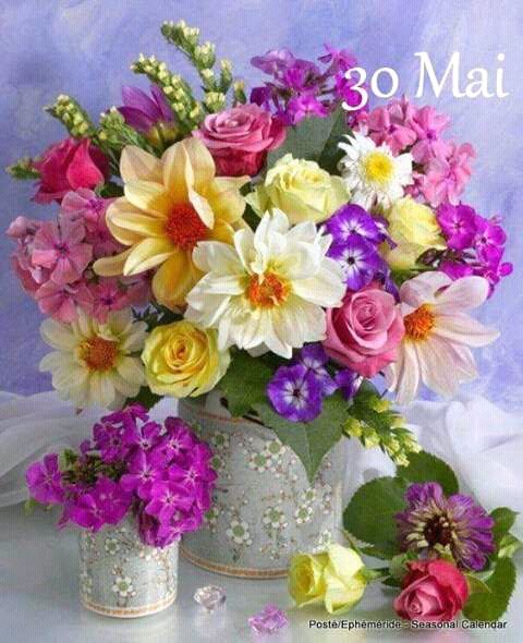 FB IMG 14961519527520357