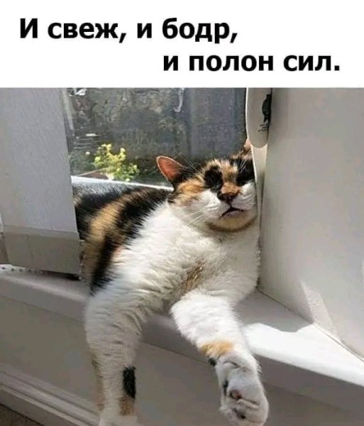 file_103322624
