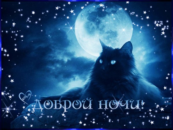 Спокойной ночи