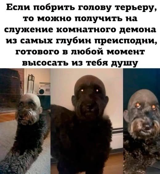 file_103425440