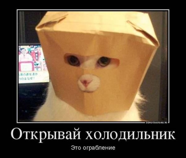 SUPER Скрипка BASS