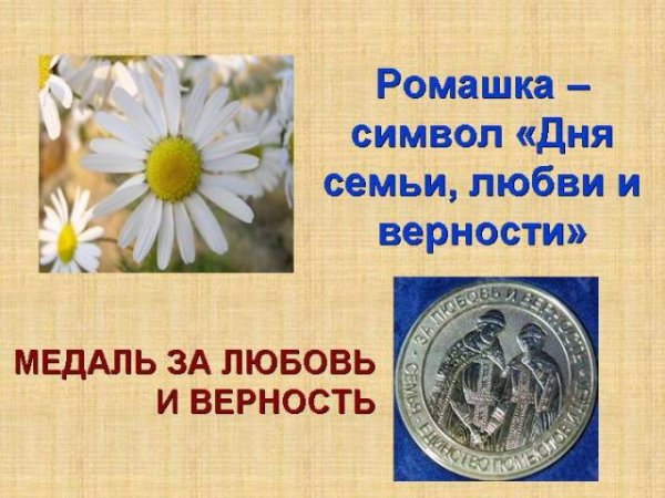 ДЕНЬ СЕМЬИ ЛЮБВИ И ВЕРНОСТИ