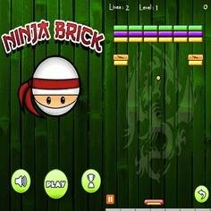Ninja Brick 240x400