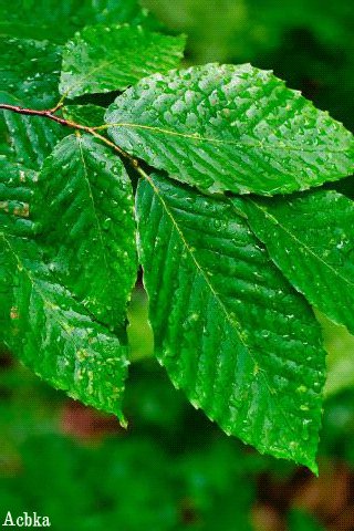 file_87667373