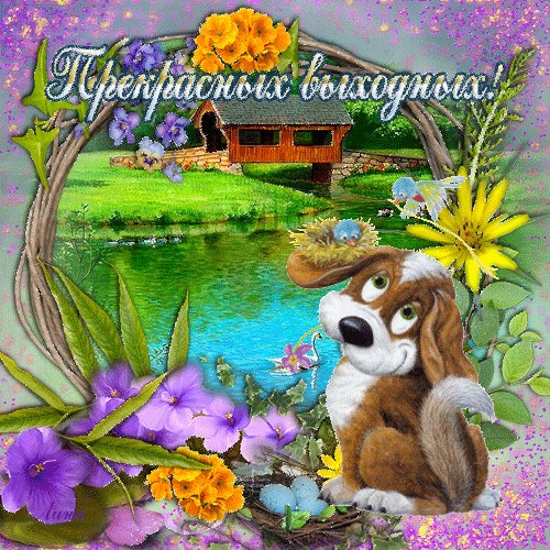 Прекрасных выходных