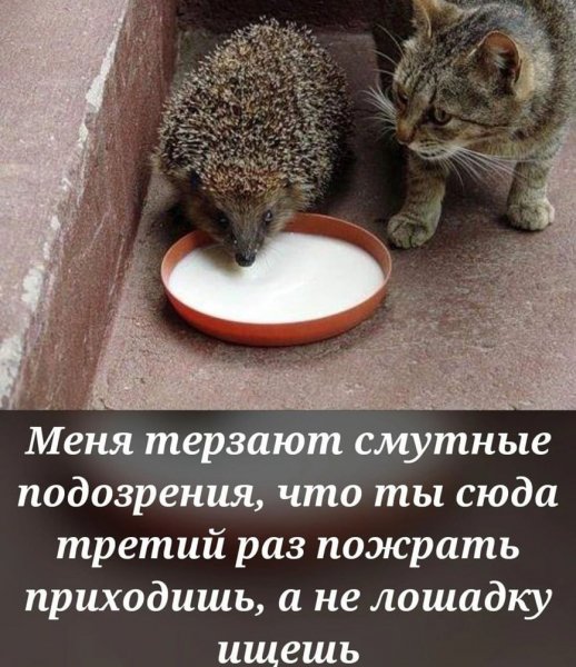 file_94064392