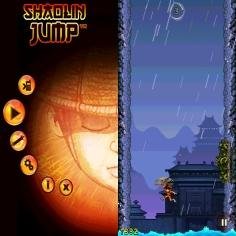 Shaolin Jump 240x400