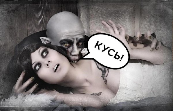 12 хороших книг о вампирах