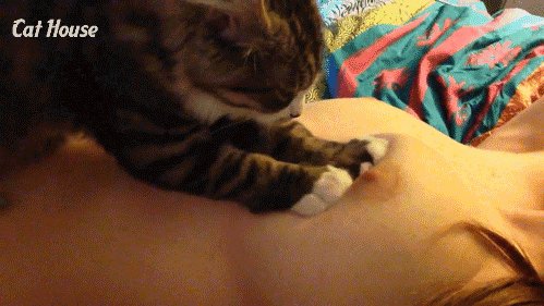 Cat House JErotika Krasivye devushki-wap sasisa ru