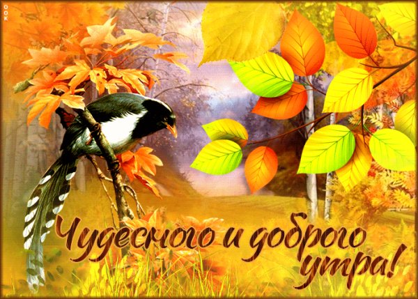 file_100938077