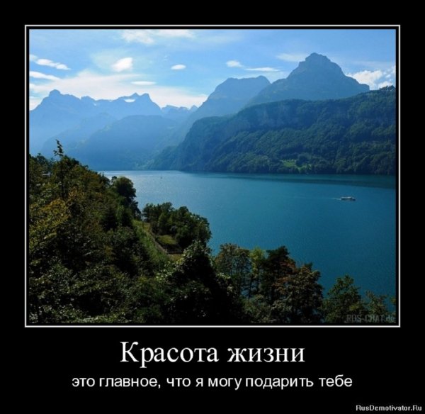 Красота жизни...