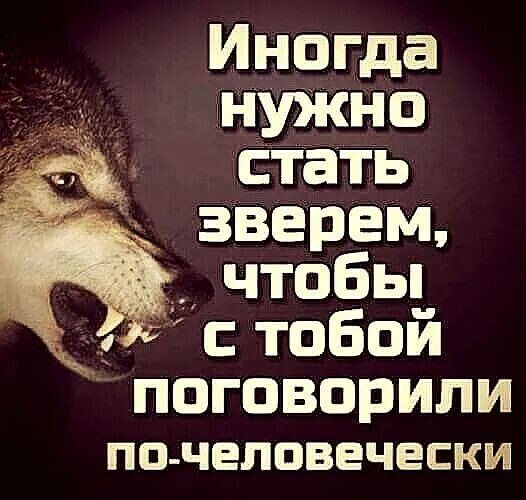 IMG 20251225 194918