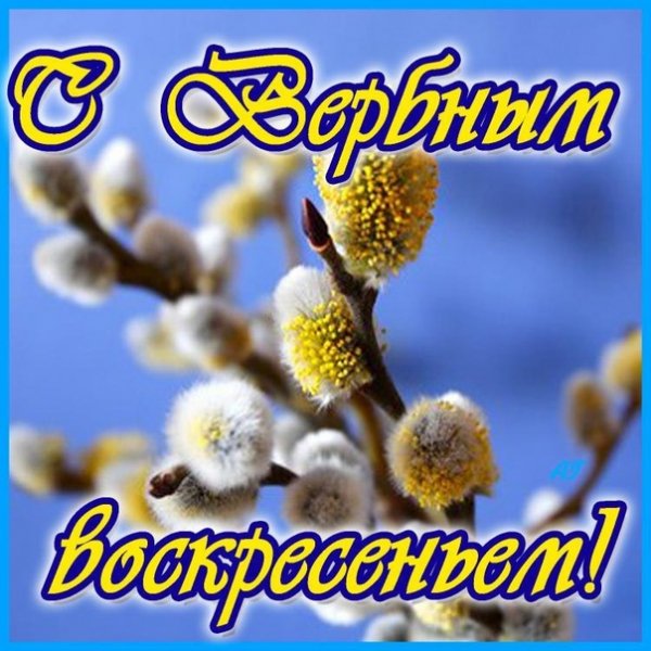 file_77333667