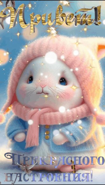 file_92855308