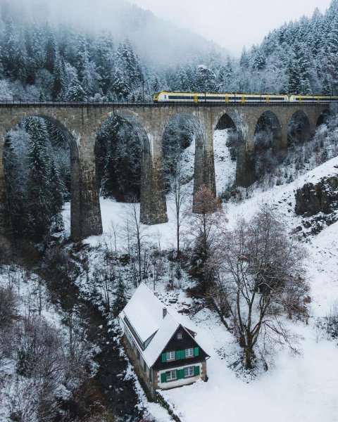 file_95881937