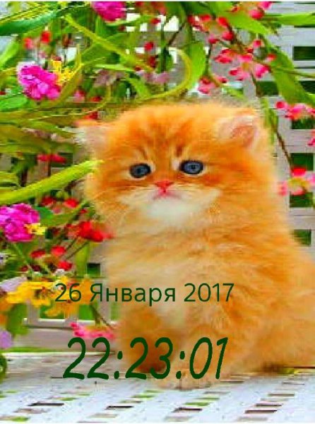 Рыжик