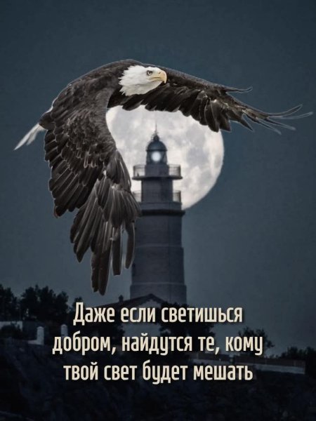 FB IMG 1760822669003