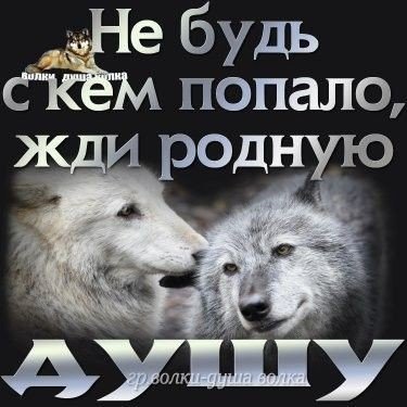 ea3fa3d9ec4d14aece991c516e4be