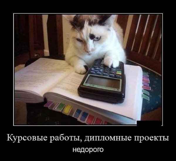 Курсовые работы, дипломные проекты недорого