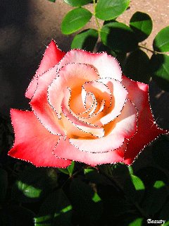 file_59768830