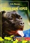 Собака Кане-Корсо (автор Ляхова Кристина)