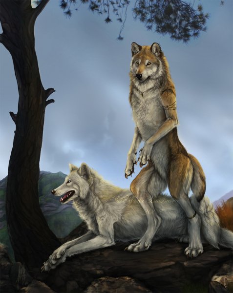werewolves by yellow eyes