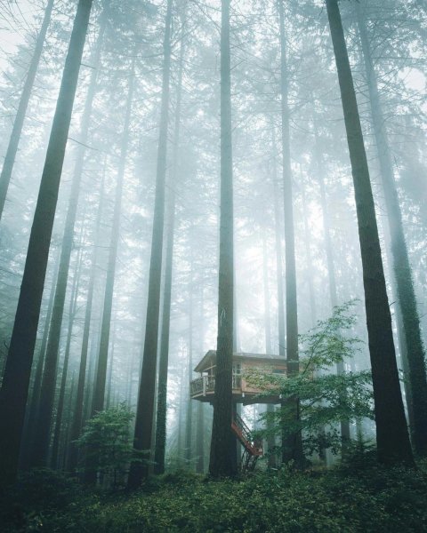 file_95964021