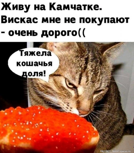 FB IMG 16947007393946343-