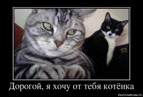 Что естественно, то не без оргазма