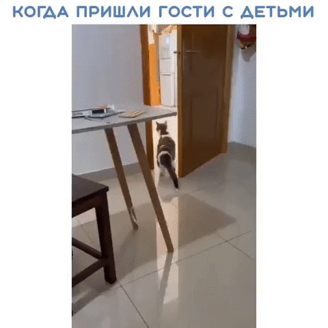 IMG 20221226 025815