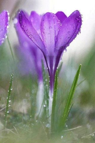 file_95526391