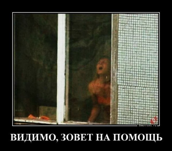 file_73187134