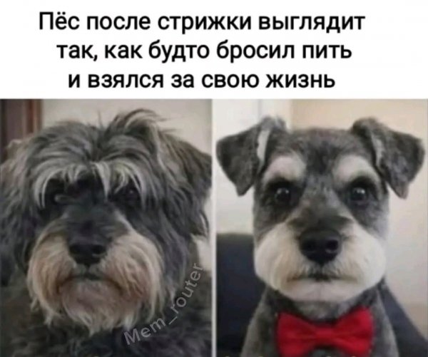 file_102110924
