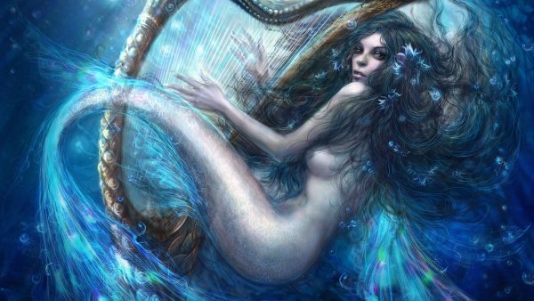 Image (15)