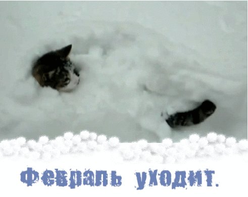 Анимированная открытка февраль уходит