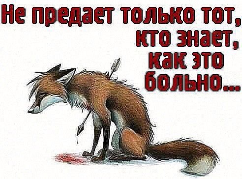 image (3)