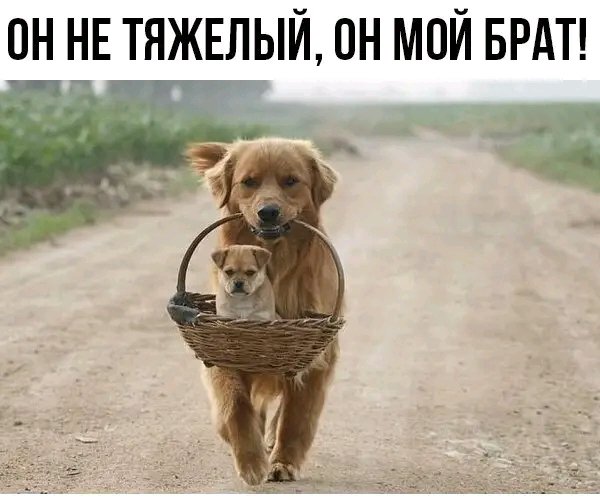 file_95827206