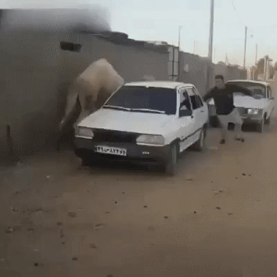 Догонялки