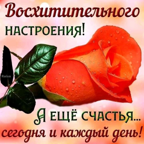 FB IMG 16223067519589001