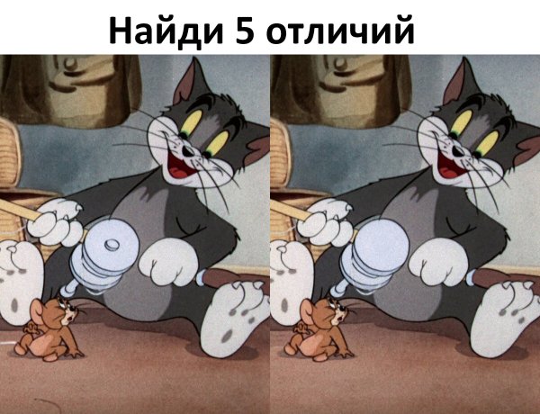 file_100049718