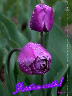 file_43369342