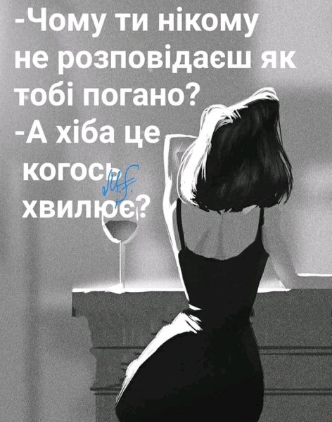 IMG 20260221 020302