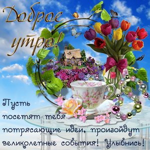 IMG 20190125 780085