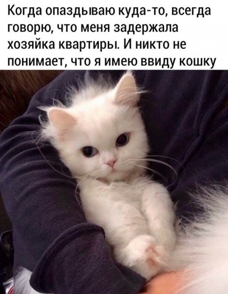 file_102346957