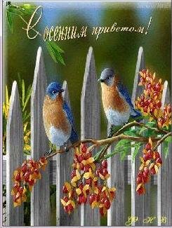 Заставка анимация с пением птиц Фл.2.0